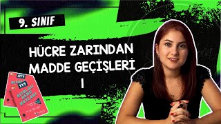 12 HÜCRE ZARINDAN MADDE GEÇİŞLERİ 1  9 SINIF  TYT BİYOLOJİ DERS NOTLARI  2024 [upl. by Nyvlem]