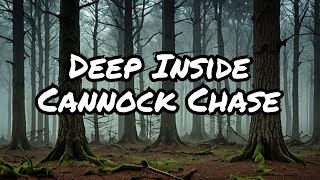 Secrets Hidden Deep within Cannock Chase cannock cannockchase fypシ゚viral [upl. by Siubhan]