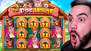 THE DOG HOUSE SLOT BONUS PAYS HUGE INSANE SET UP [upl. by Aisenet313]