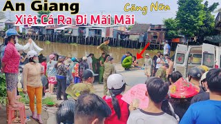 An Giang lại CĂNG ông lão 62T xiệt cá ra đi mãi mãi chỉ vì vài chục ngàn mưu sinh [upl. by Hieronymus]