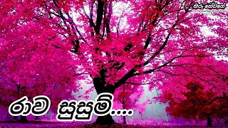 රාව සුසුම්  55  HIROO HEWAGE  rawasusum nawakatha hiroohewage sad [upl. by Lotti364]