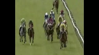 Horse Racing Death 125  Stormfield at Southwell Racecourse [upl. by Anyk853]