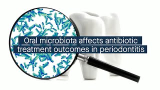 Oral microbiota affects clinical outcomes of systemic antibiotic treatment in periodontitis [upl. by Marino960]