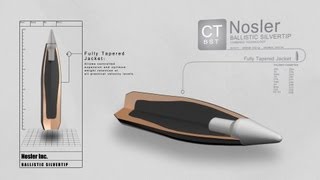 Combined Technology Ballistic Silvertip Bullet [upl. by Atteuqnas]