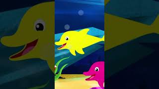 We Are The Dolphins shorts trending kidsmusic seaanimals viral [upl. by Toll]