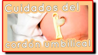 ¿Cómo curar el cordón umbilical 👶  consejos y cuidados 🛁 🧽 [upl. by Pavlish]