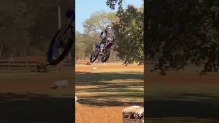 2 Stroke ASMR Time for another 250 2 stroke😏 motocross bike [upl. by Ahsenav]