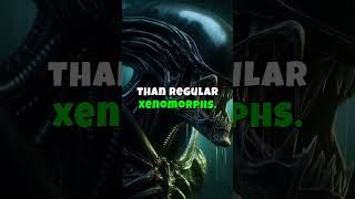 Predalien The Ultimate Xenomorph [upl. by Devonne]