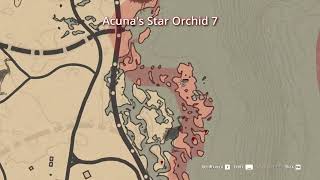 RDR2  10 Acunas Star Orchid Location  Duchesses and other Animals  Exotics Requests [upl. by Ecnarf]