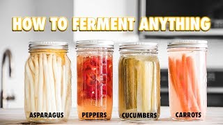 The Guide to LactoFermentation How To Ferment Nearly Anything [upl. by Ilrebmik728]