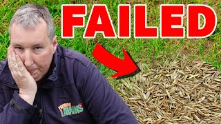 The BIGGEST mistake you can make overseeding your lawn [upl. by Brady]