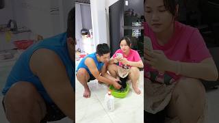 Long time no wash hair 🤣😂 funny couple shorts [upl. by Gold]