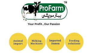 DeLaval Milking Machine  Bucket Milking System BMS4  Cow Cattle Farming  ProFarm Pakistan [upl. by Sivia]