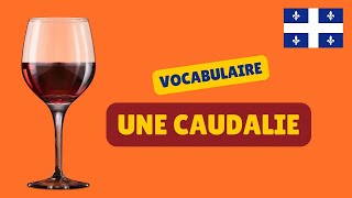 CEST QUOI UNE CAUDALIE  Intermediate Quebec French with Subtitles  Frenchpresso [upl. by Worl]