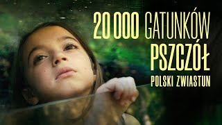 20 000 gatunków pszczół 2023 zwiastun PL już na VOD [upl. by Olson]