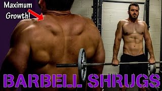 How to Perform Barbell Shrugs Maximum Muscle Growth for the Traps Technique and Form [upl. by Clabo884]