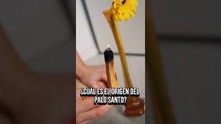 😯Te Sorprenderá quien creó el PALO SANTO 🌲 palosanto sanacion magia [upl. by Atinauj]