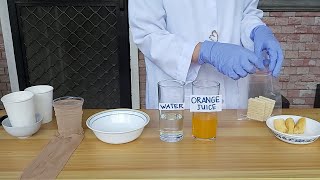 Digestive System Demo Do it at Home Experiment [upl. by Ralston]