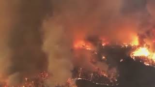 BUSH FIRE DEVASTATION AUSTRALIA 4th Jan 2020 [upl. by Alphonso845]