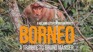 Borneo  a tribute to Bruno Manser  a Roland Steffen documentary [upl. by Eibber]