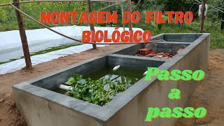 Como Montar Filtro Biológico Para Tanque de Peixes [upl. by Isaacs]