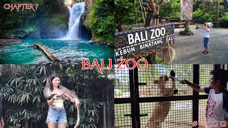 BALI ZOO Open Animals Zoo In Bali  Which Is Better Bali Zoo Or Safari  bali tickertalks [upl. by Papke499]