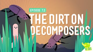 The Dirt on Decomposers Crash Course Kids 72 [upl. by Yvon]