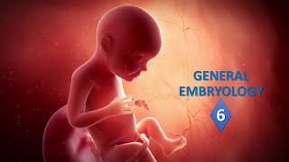 General embryology Part06 Prof Ashfaqur Rahman [upl. by Waldo758]