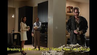 Breaking Bad Review 05x16 quotFelinaquot Reaction amp Recap [upl. by Suissac99]