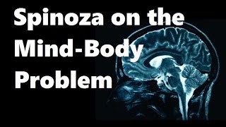 Spinoza On the MindBody Problem [upl. by Ternan]