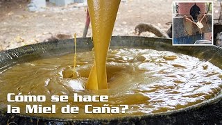 Cómo se hace la Miel de Caña Trapiche La Mariana [upl. by Aday]