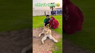 Private Zoo In🐯 Dubai  Niloy Alamgir  Hridi niloy niloyalamgir shorts dubai tasnuvahridi [upl. by Anneuq]