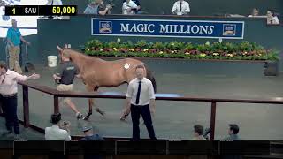 2020 Gold Coast Yearling Sale Day 1 Replay [upl. by Chessy516]