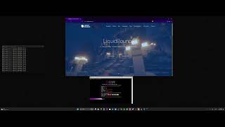 Cindy C2 Network Showcase Best Botnet Showcase Best Botnet C2BOTNETAPI VS LIQUIDBOUNCENET [upl. by Saixela814]