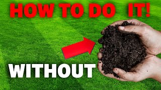 Why Youve Been Overseeding Your Lawn All Wrong [upl. by Andromede]