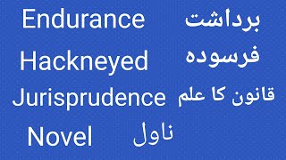 Four Sentences And Four English Words  Endurance Hackneyed Novel And Jurisprudence [upl. by Bayard]