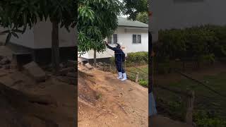 fumigation What smell attracts mosquitoes the most pestcontrolplan [upl. by Ahsilram]