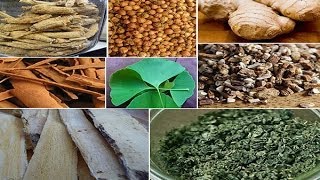 Best Herbs for Energy Using Natural Herbal Stimulants [upl. by Joo304]