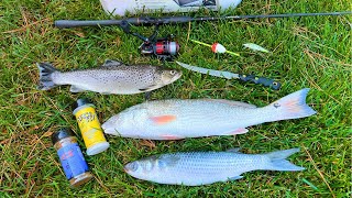 Brown TROUT Redfish and Mullet Catch Smoke and Eat [upl. by Erehpotsirhc237]