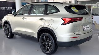 GWM Haval H6 2024 indepth Walkaround [upl. by Eddy]