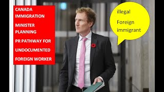 Canada immigration Minister planning PR Pathway For undocumented Foreign Worker latest Update [upl. by Alliuqat436]