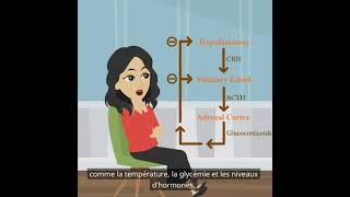 Psychologie de base  la fonction du système endocrinien [upl. by Linehan]