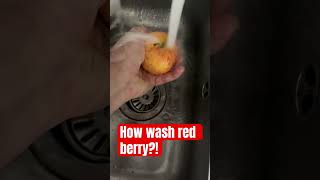 How wash the redberry fruit redberry apple funny education how delicious food shortvideo [upl. by Wolram]