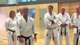 Kumite Lehrgang mit Fritz Oblinger in Brixen [upl. by Guglielmo595]