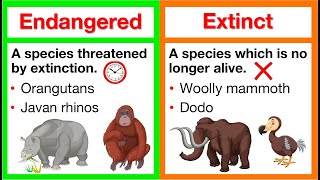 Endangered vs Extinct 🤔  Whats the difference  What causes extinction  How can we help [upl. by Nillok]