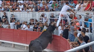 Cocarde dor 2022 à Arles  Course camarguaise  AS [upl. by Ivon]