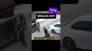 Los chapitos disparan a carro en Sinaloa narcosmexico sinaloa narcos culiacan ejércitomexicano [upl. by Feucht]