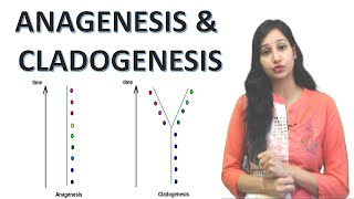 Anagenesis and Cladogenesis I Speciation I Evolution I Lamarckism and Darwinism [upl. by Jilleen]