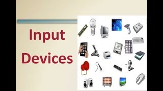 What is Input Device  Types of Input Devices  Computer Devices [upl. by Annaiel]