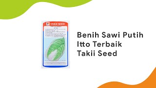 Bibit Sawi Putih Terbaik Takii Seed 🥬️  Benih Itto [upl. by Kalman]